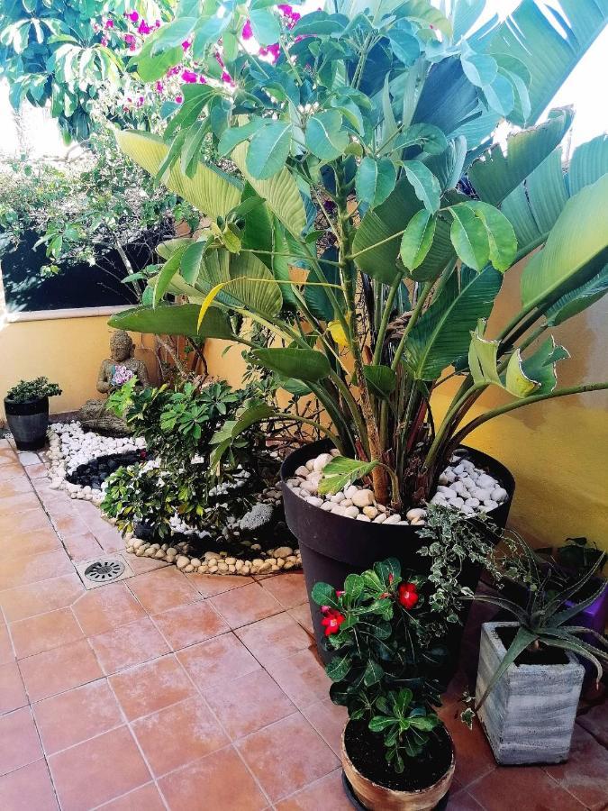 Vivienda Vacacional Vaiana Las Rosas  外观 照片